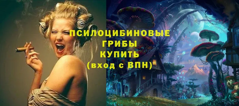 Псилоцибиновые грибы Magic Shrooms  Ермолино 